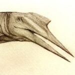 Profile picture of bary
