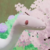 Profile picture of BinoRaptor ﺕ