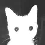 Profile picture of BlaxStixy