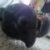 Profile picture of Logan