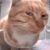 Profile picture of CyprianAko
