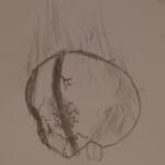 Profile picture of Sinew