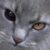 Profile picture of Af3nn
