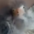 Profile picture of ThresherAnims