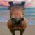 Profile picture of Horse