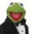 Ribbit Animations