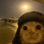 Profile picture of when the