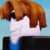 Profile picture of Kingxdga12