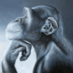 Profile picture of Gans