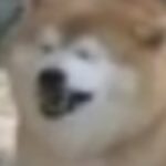 Profile picture of Beanbruh