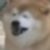 Profile picture of Beanbruh