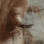 Profile picture of witched11
