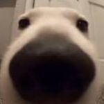 Profile picture of Markoh