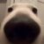 Profile picture of Markoh