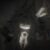 Profile picture of ThisLyriaNoa