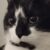 Profile picture of ReXt