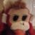 Profile picture of KPY