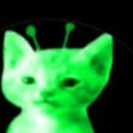 Profile picture of Pierce×