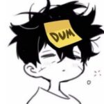 Profile picture of D