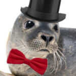 Mr_seal17