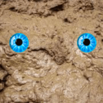 Profile picture of mud