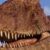 Profile picture of Sirgiga