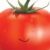 Profile picture of TheMightyBorb