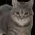 Profile picture of Chrisdude