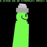 Melonstastegood