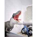 Rexyspinus anims