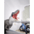 Profile picture of Rexyspinus Anims!