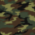 Profile picture of Camodude