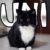 Profile picture of Loki