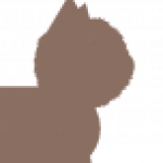 Profile picture of Kanteer