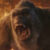 Profile picture of Zye