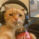 Profile picture of Max