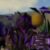Profile picture of Kakebandglich