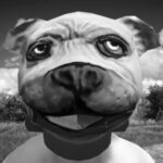 Profile picture of Sobito
