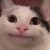 Profile picture of StrayDoge
