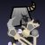Profile picture of FURYintheShadows