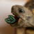 Profile picture of Toby lake