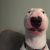 Profile picture of Eggston