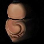 Profile picture of RevalYT