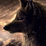 Profile picture of Wolf lasker