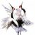 Profile picture of Tenshinhan