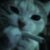 Profile picture of danii
