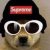 Profile picture of iflewup