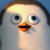 Profile picture of KikiPengiunLOL