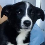 Profile picture of TomLovesARK