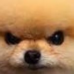 Profile picture of FluPu